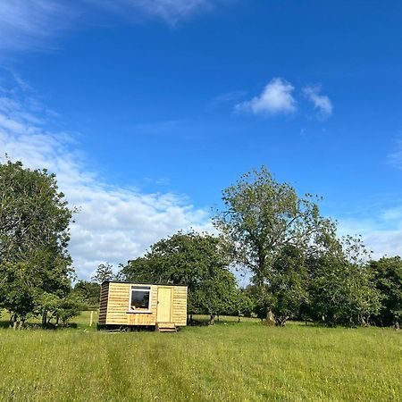 Off Grid Shepherds Hut Hotel Llansilin Екстериор снимка