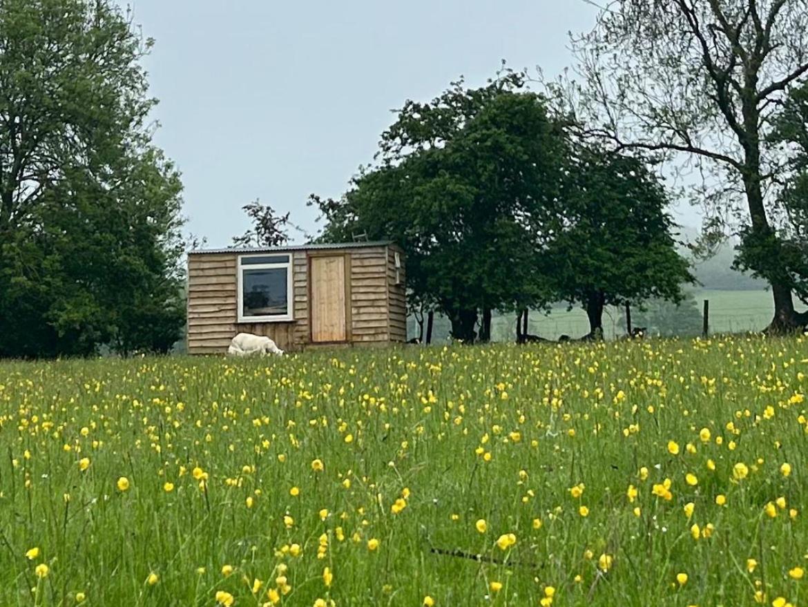 Off Grid Shepherds Hut Hotel Llansilin Екстериор снимка