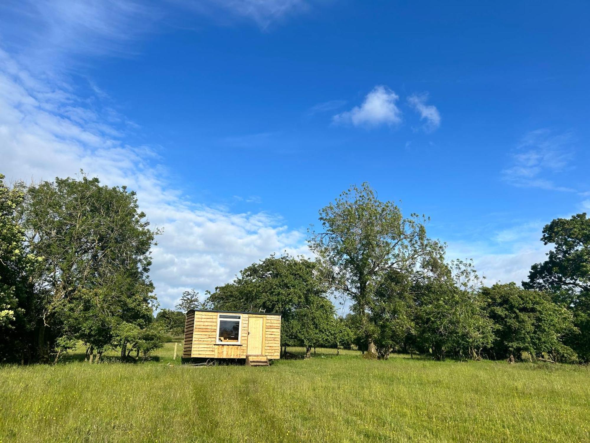 Off Grid Shepherds Hut Hotel Llansilin Екстериор снимка